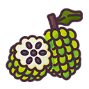 Custard Apple