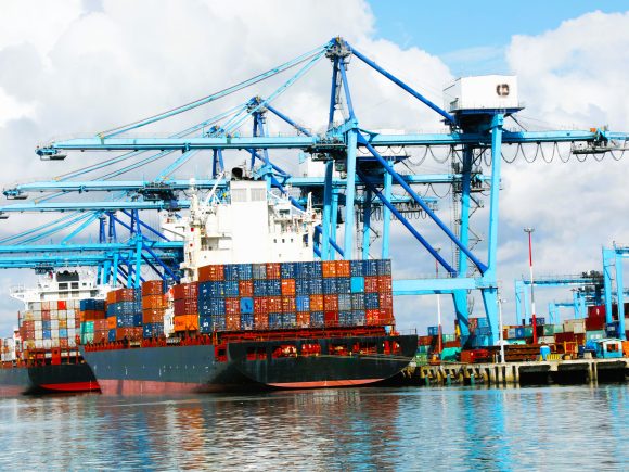 Adapting to Shifting Consumer Demands and Habits in the Fruits & Vegetables Shipping Business Across East Africa, the Middle East, and Europe